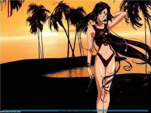 2a6a9fdb-b220-0004-e986-c8fc52cf582e-1551240906000064300