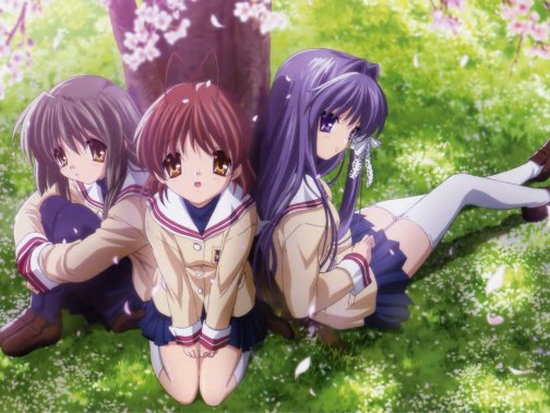 d519640c-35da-5a24-f10e-44d5b0dc2f0d-1551240227086185200